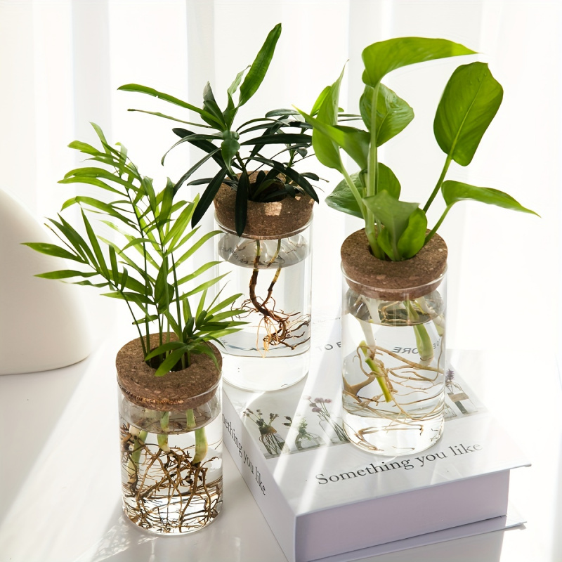 1pc, Hydroponics Plants Deskto - Propagation Station Vase review and price