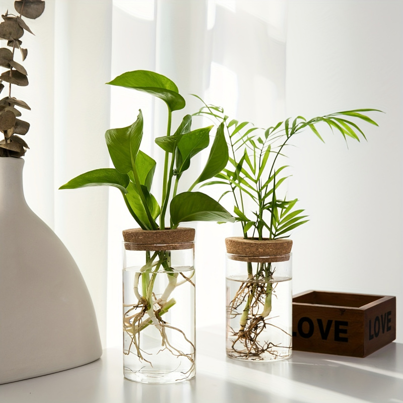 1pc, Hydroponics Plants Deskto - Propagation Station Vase review and price