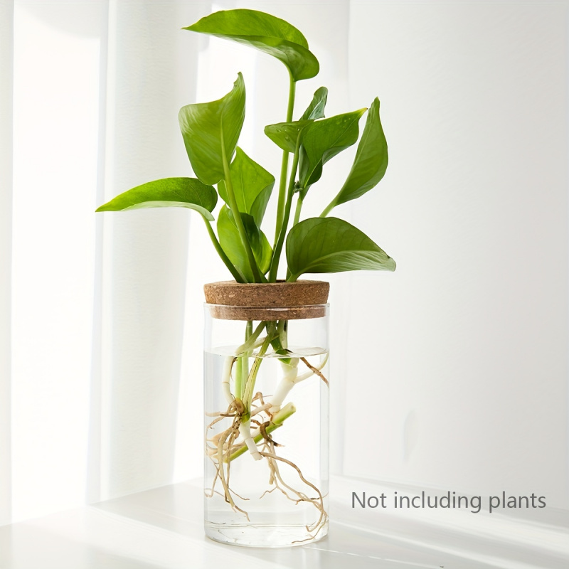 1pc, Hydroponics Plants Deskto - Propagation Station Vase review and price