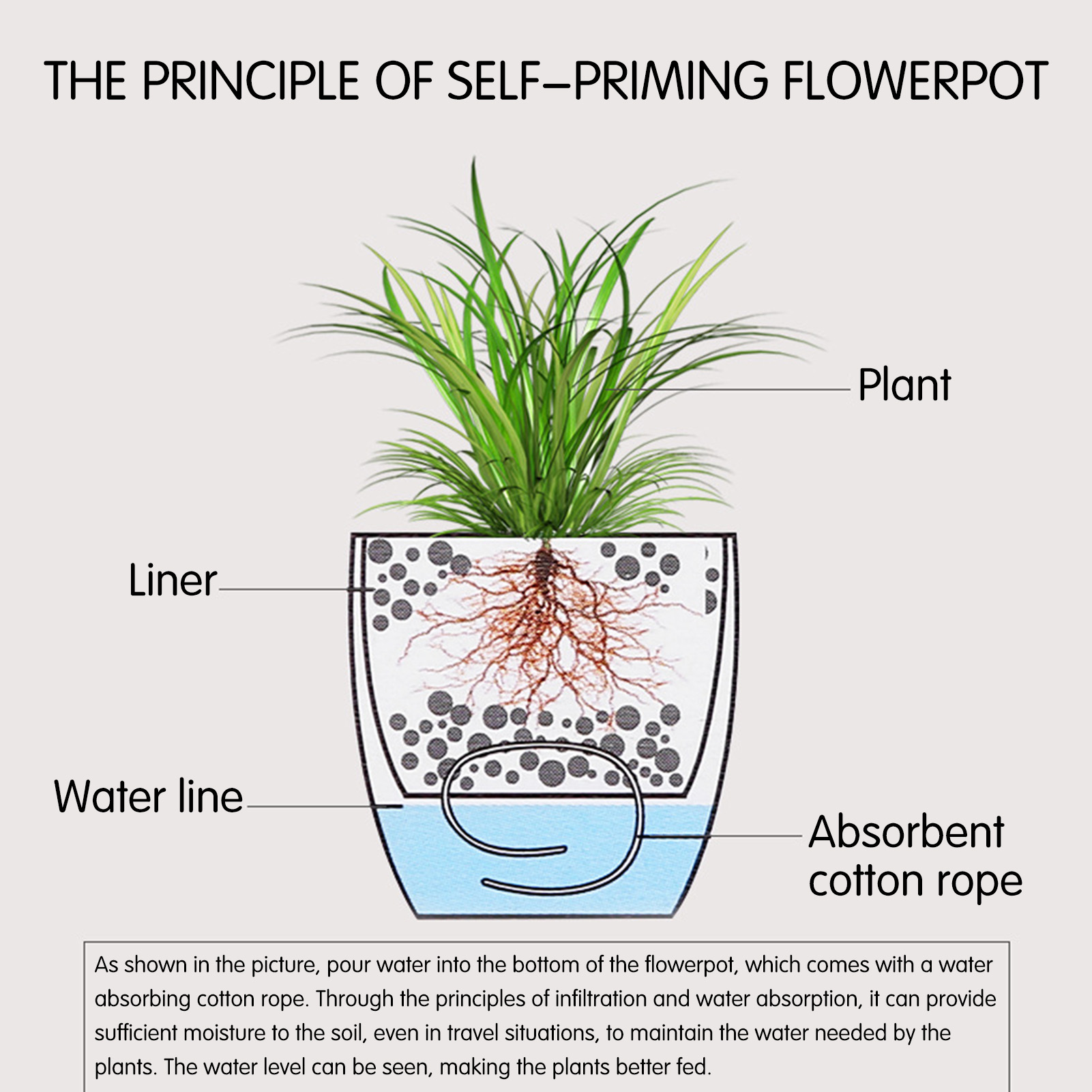Automatic Self Watering Flower - Self Watering Insert review and price