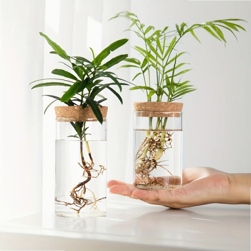 1pc, Hydroponics Plants Deskto - Propagation Station Vase review and price