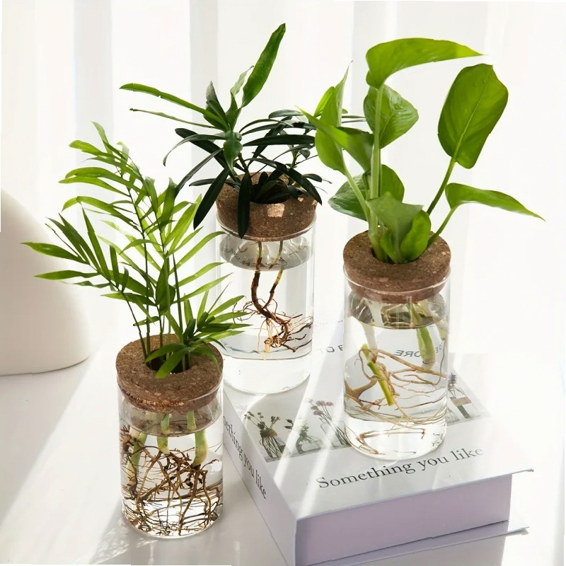 1pc, Hydroponics Plants Deskto - Propagation Station Vase review and price