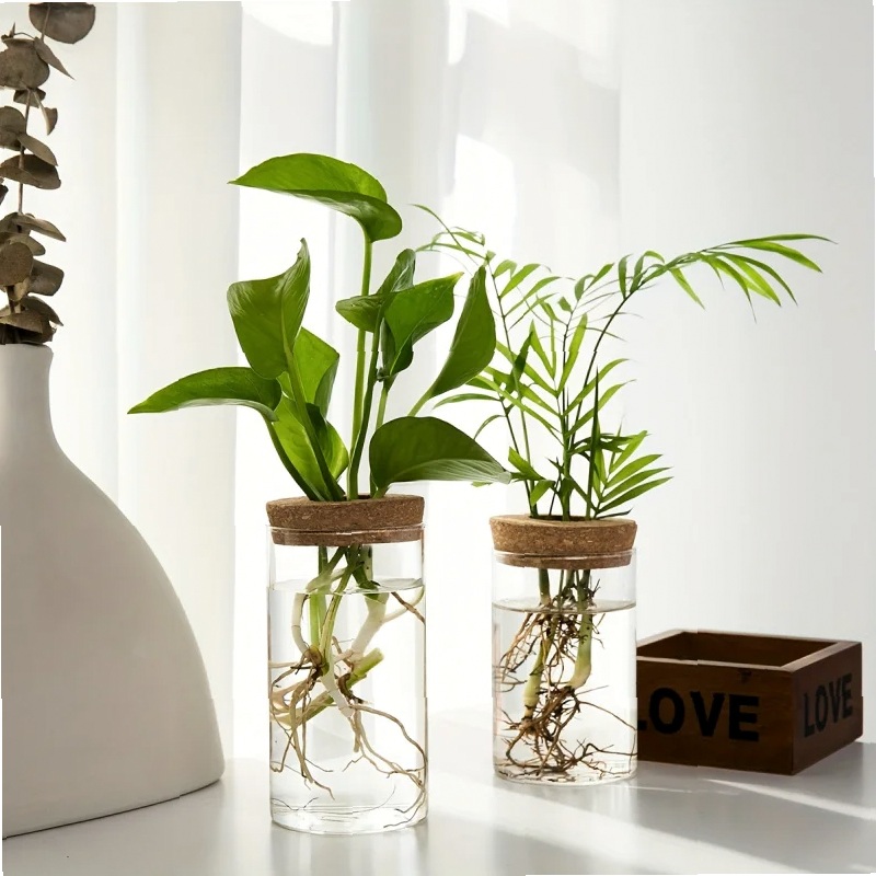 1pc, Hydroponics Plants Deskto - Propagation Station Vase review and price