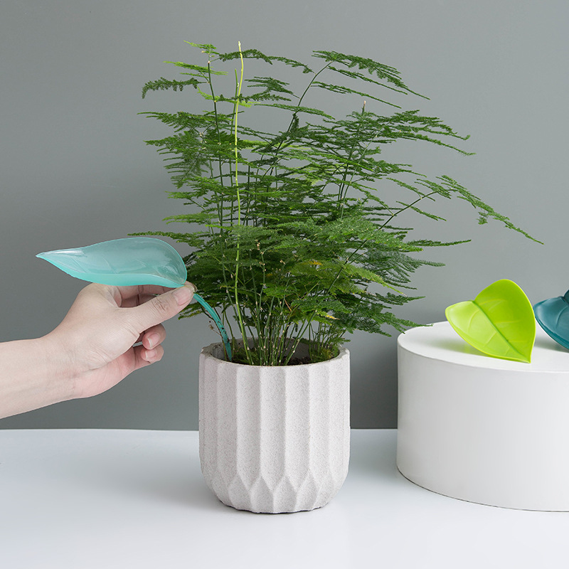 Creative Potted Foliage Divers - Self Watering Insert review and price