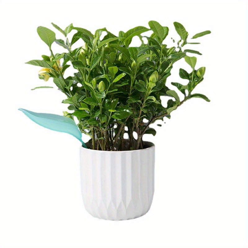 Creative Potted Foliage Divers - Self Watering Insert review and price