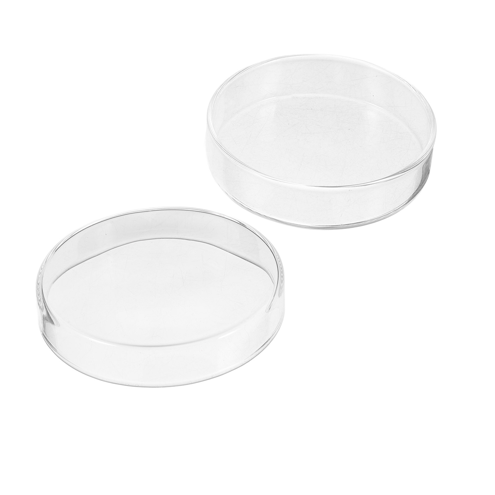 1Set Thickened Glass Petri Dis - Agar Tissue Culture review and price
