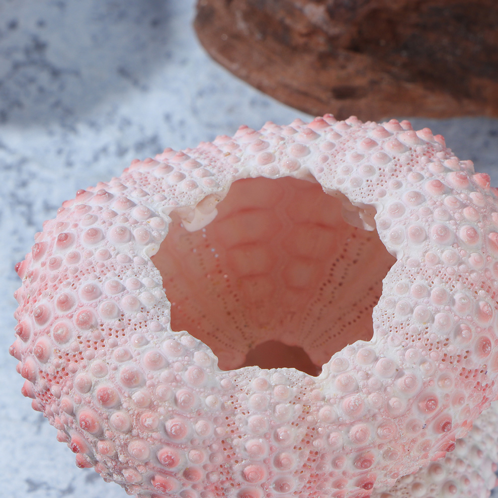10Pcs DIY Jewelry Making Sea S - Propagation Station Vase review and price
