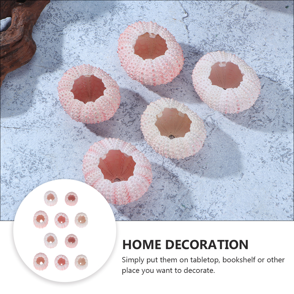 10Pcs DIY Jewelry Making Sea S - Propagation Station Vase review and price
