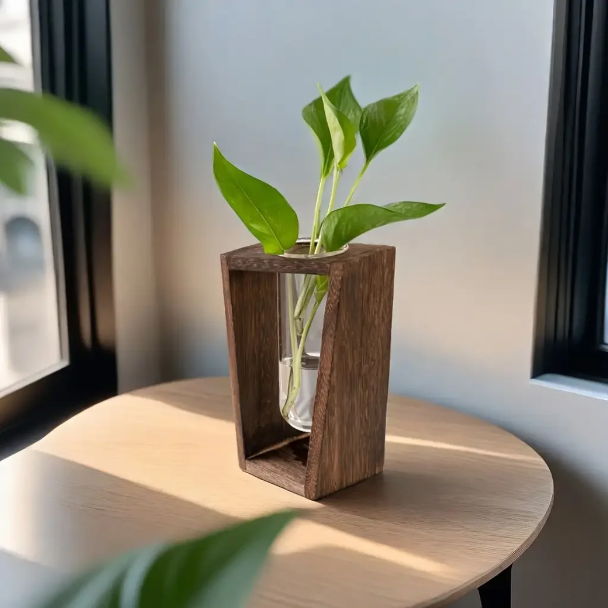 Plant Propagation Station Hydr - Propagation Station Vase review and price