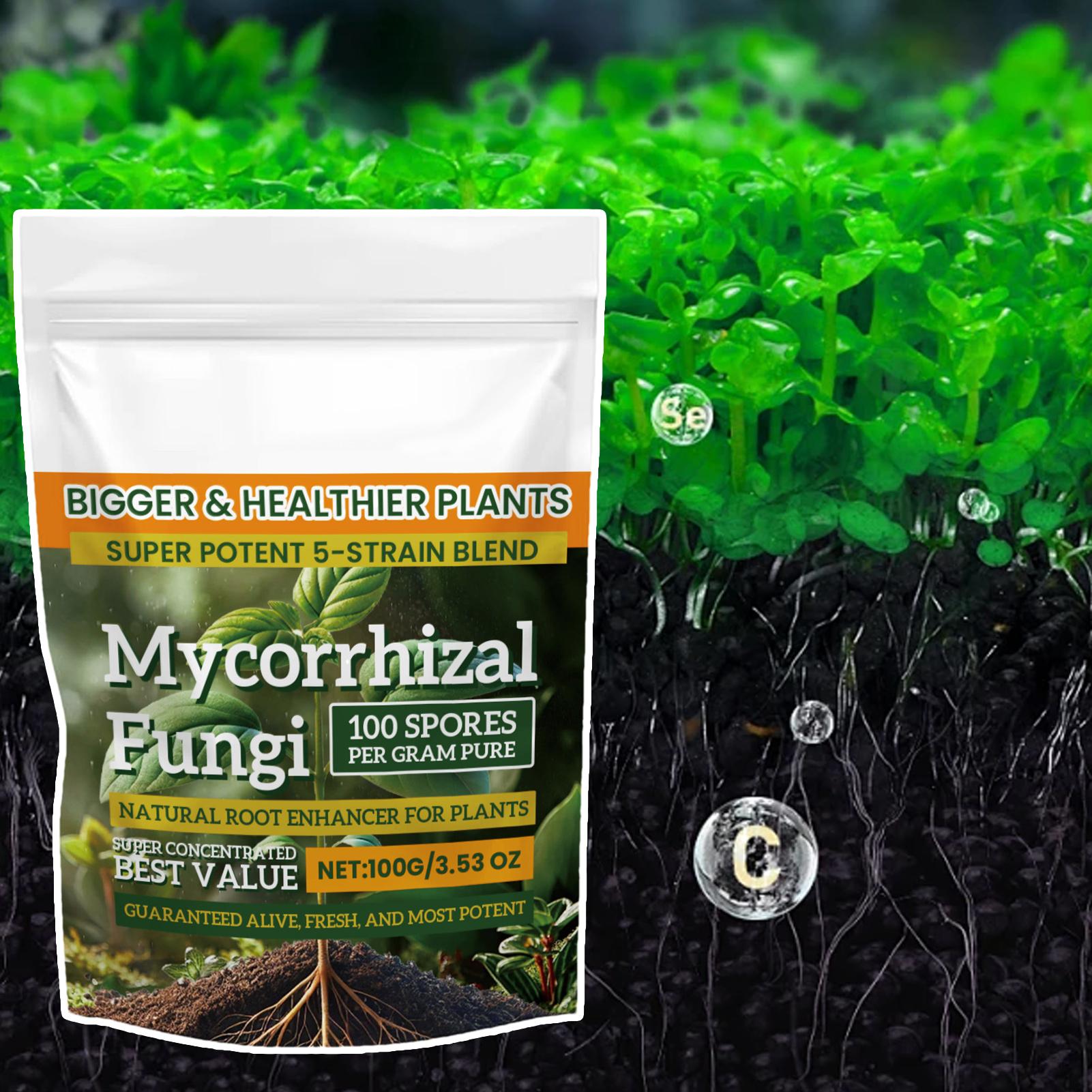 100g Plant Nutrient Powder Pla - Rooting Hormone Powder review and price