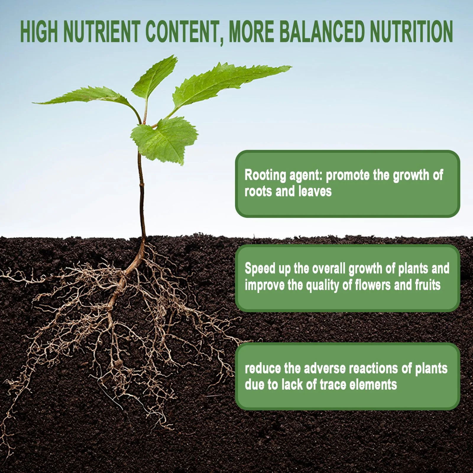 1Rare Plant Rooting Powder Pla - Rooting Hormone Powder review and price
