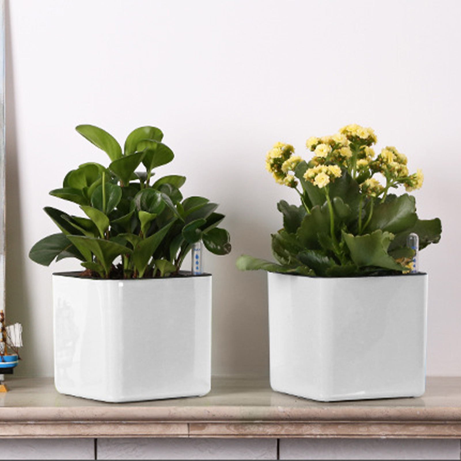 Self Watering Planter Self-wat - Self Watering Insert review and price