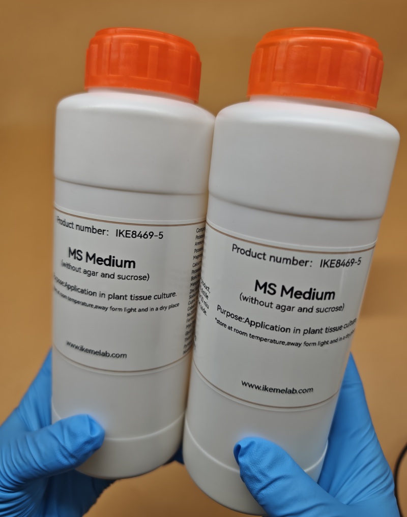 IKEME Lab MS Medium 250g Witho - Agar Tissue Culture review and price