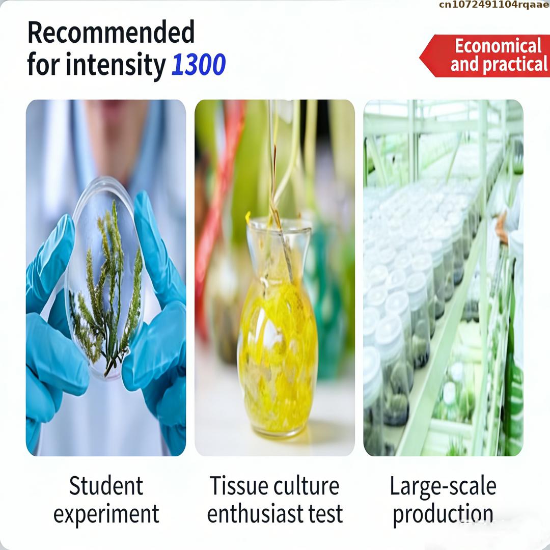Premium Plant Tissue Culture A - Agar Tissue Culture review and price