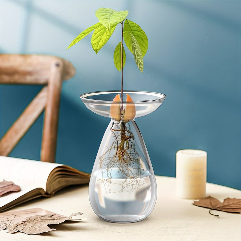 Avocado Seed Starter Hydroponi - Propagation Station Vase review and price