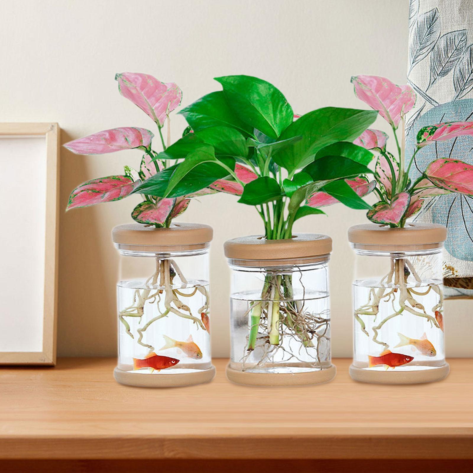 3Pcs Hydroponics Flower Vases  - Propagation Station Vase review and price