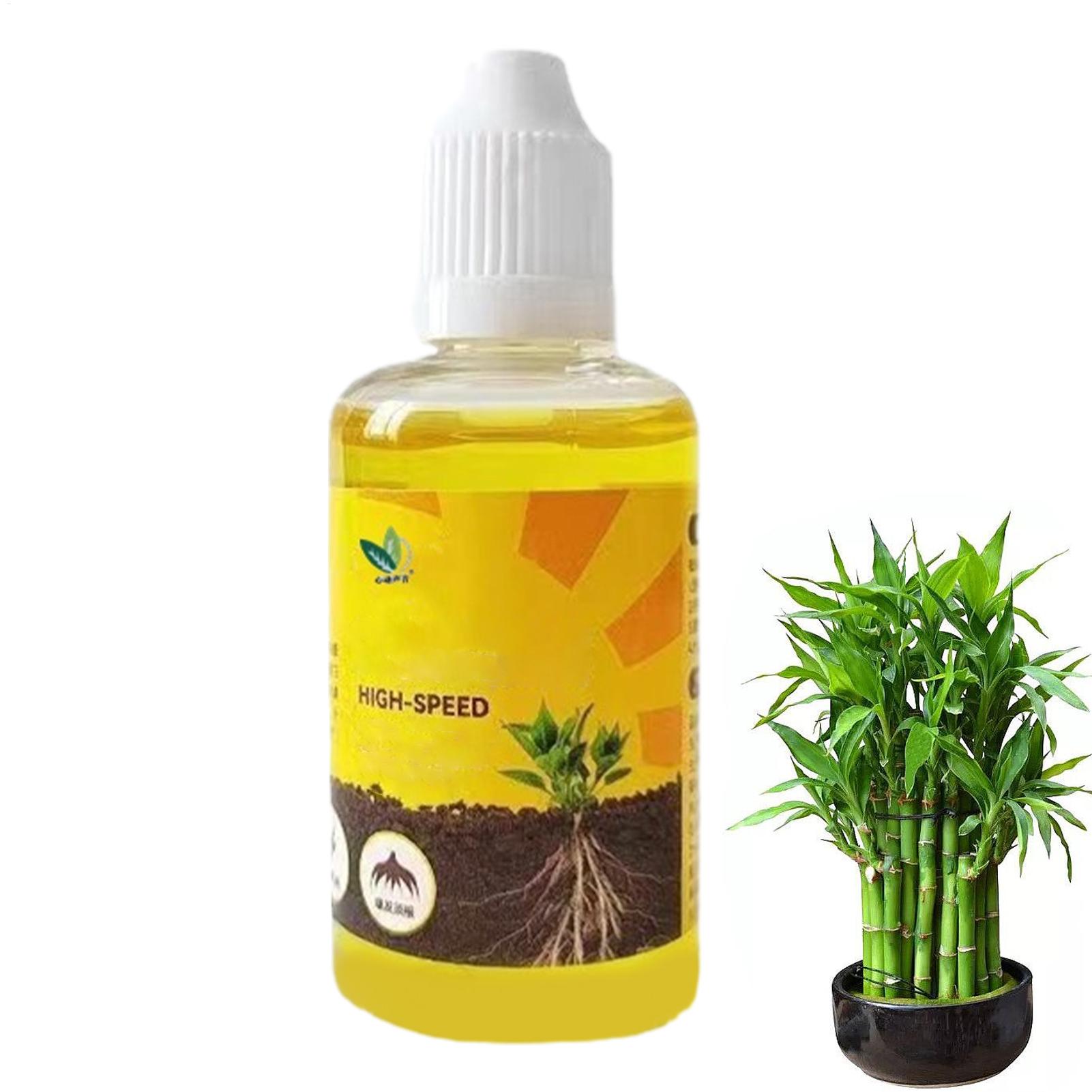 50ml Plant Rooting Stimulator  - Rooting Hormone Powder review and price