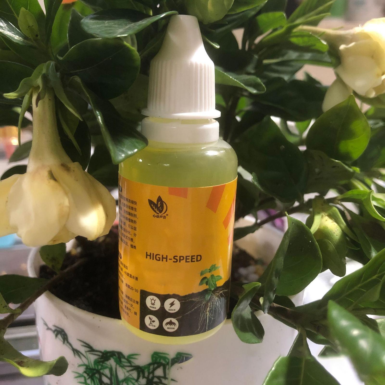 50ml Plant Rooting Stimulator  - Rooting Hormone Powder review and price
