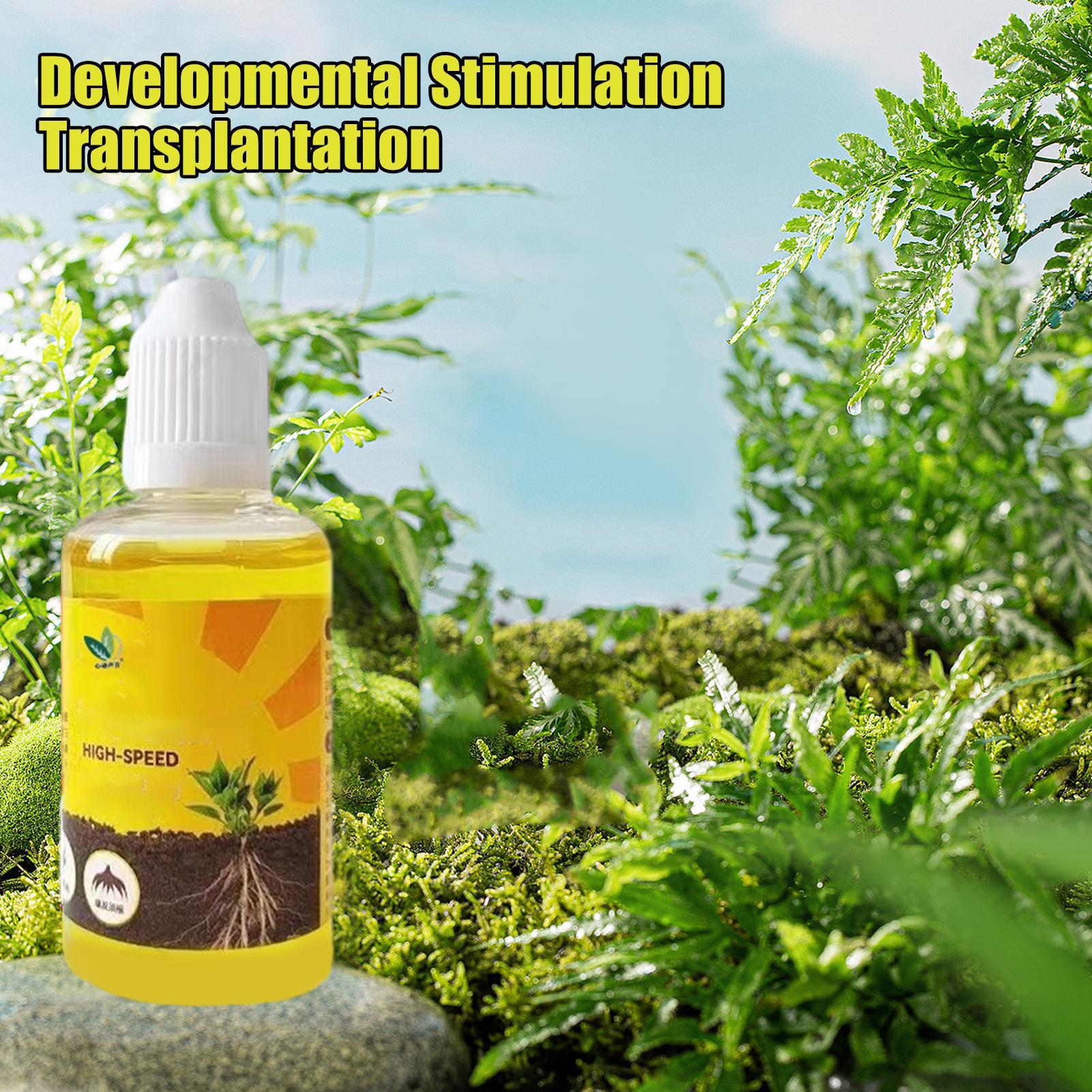 50ml Plant Rooting Stimulator  - Rooting Hormone Powder review and price