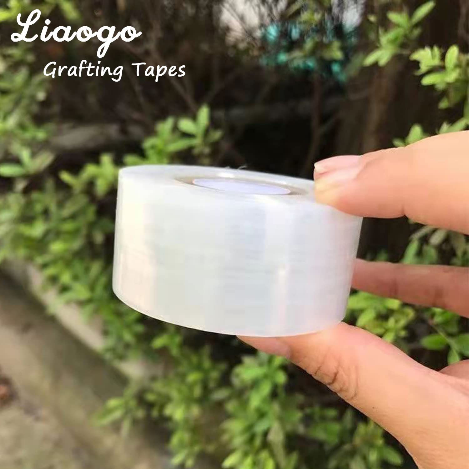 200M PE Grafting Tape Film Sel - Rooting Hormone Powder review and price