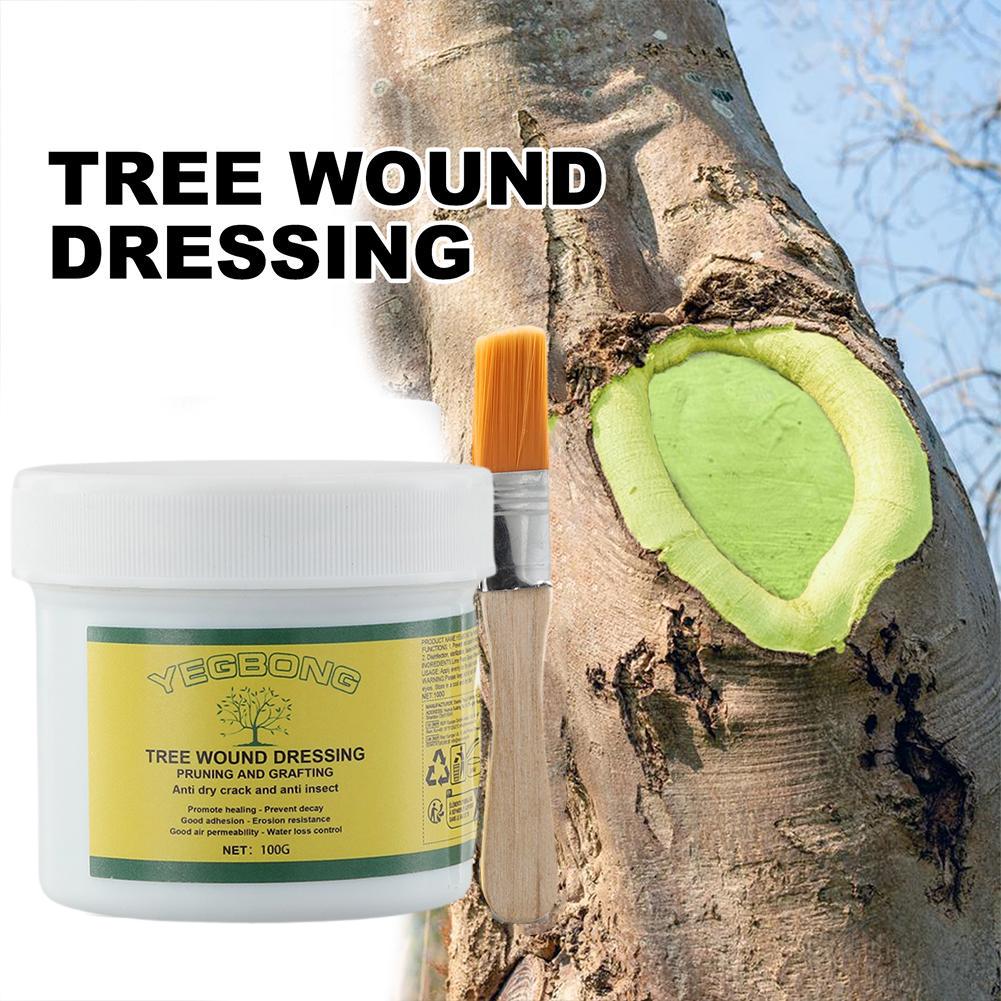100g Tree Grafting Paste Tree  - Rooting Hormone Powder review and price