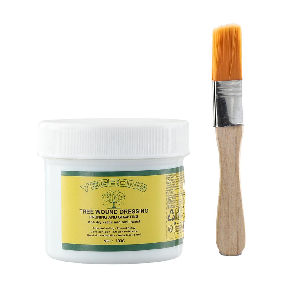 100g Tree Grafting Paste Tree  - Rooting Hormone Powder review and price