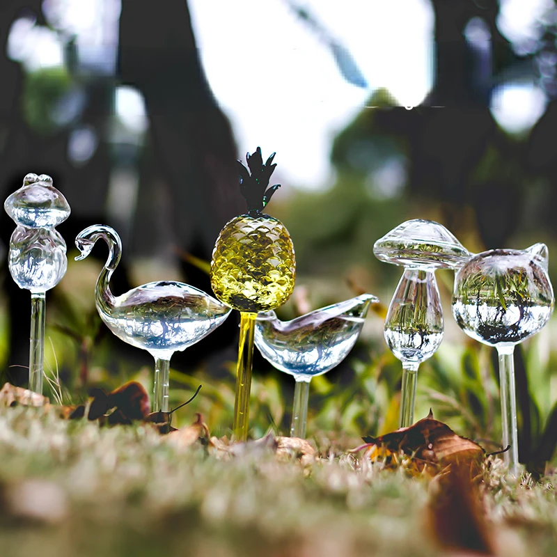 Creative Glass Plant Flowers W - Self Watering Insert review and price
