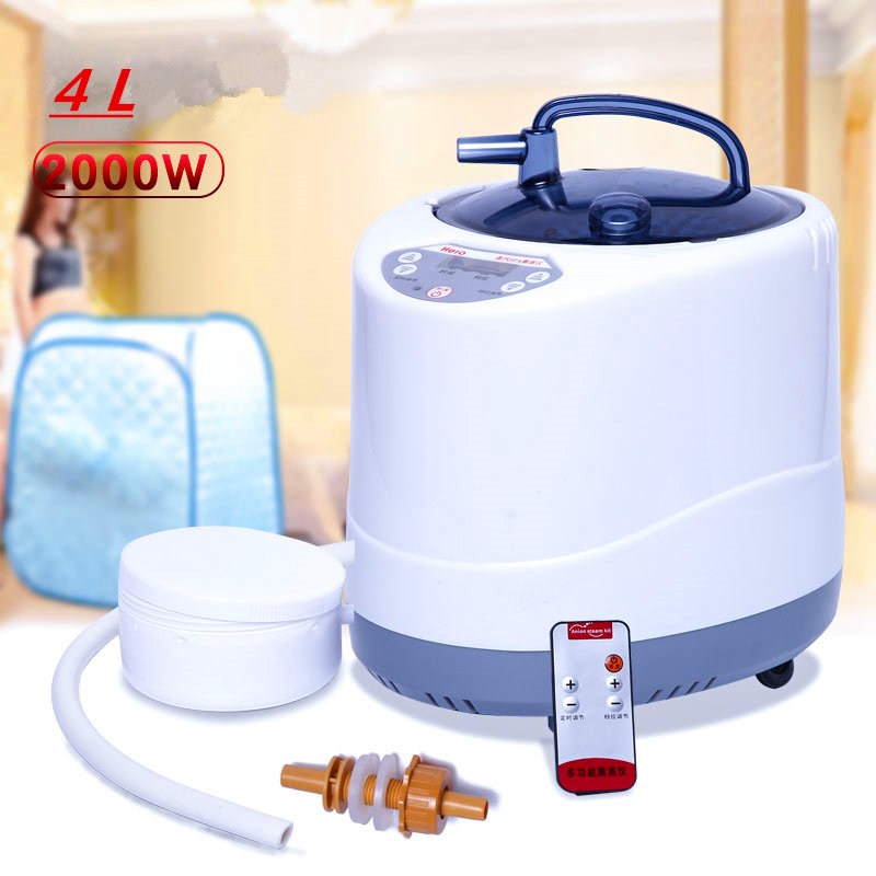 Steam Generator 220V/110V  EU  - Self Watering Insert review and price