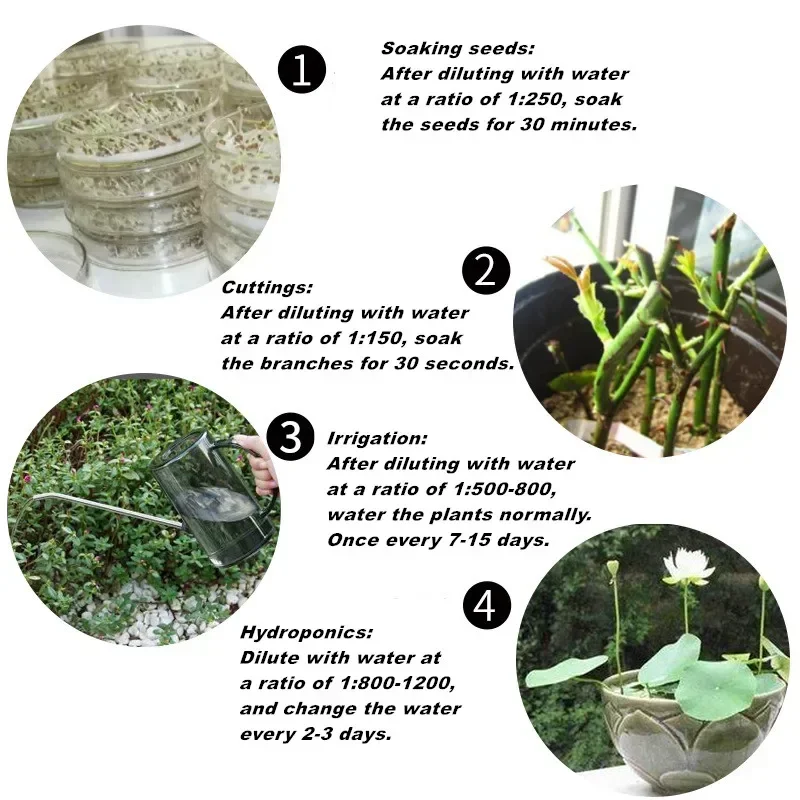 10g Quickly Rooting Powder Hor - Rooting Hormone Powder review and price