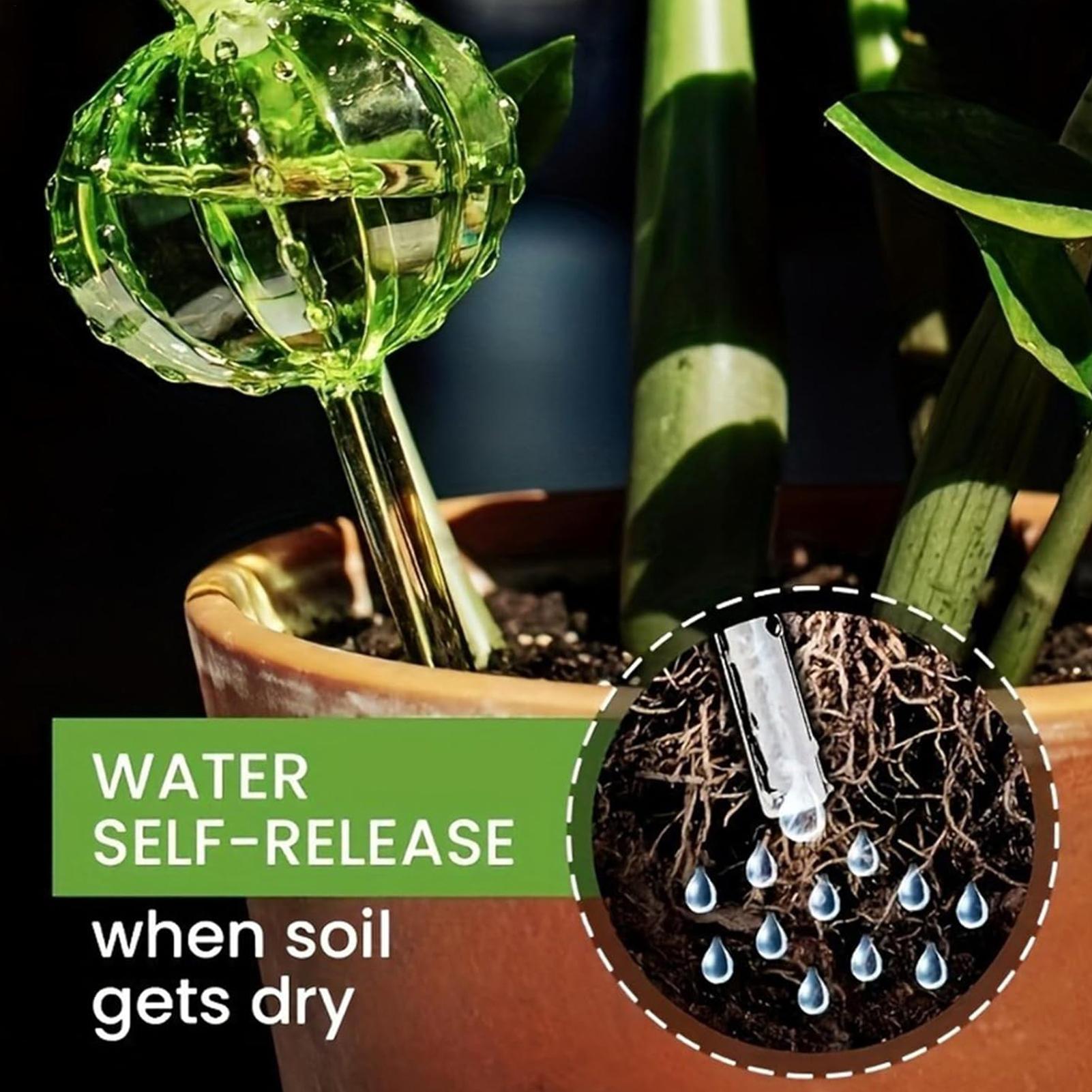 Plant Watering Stakes 3 Pieces - Self Watering Insert review and price