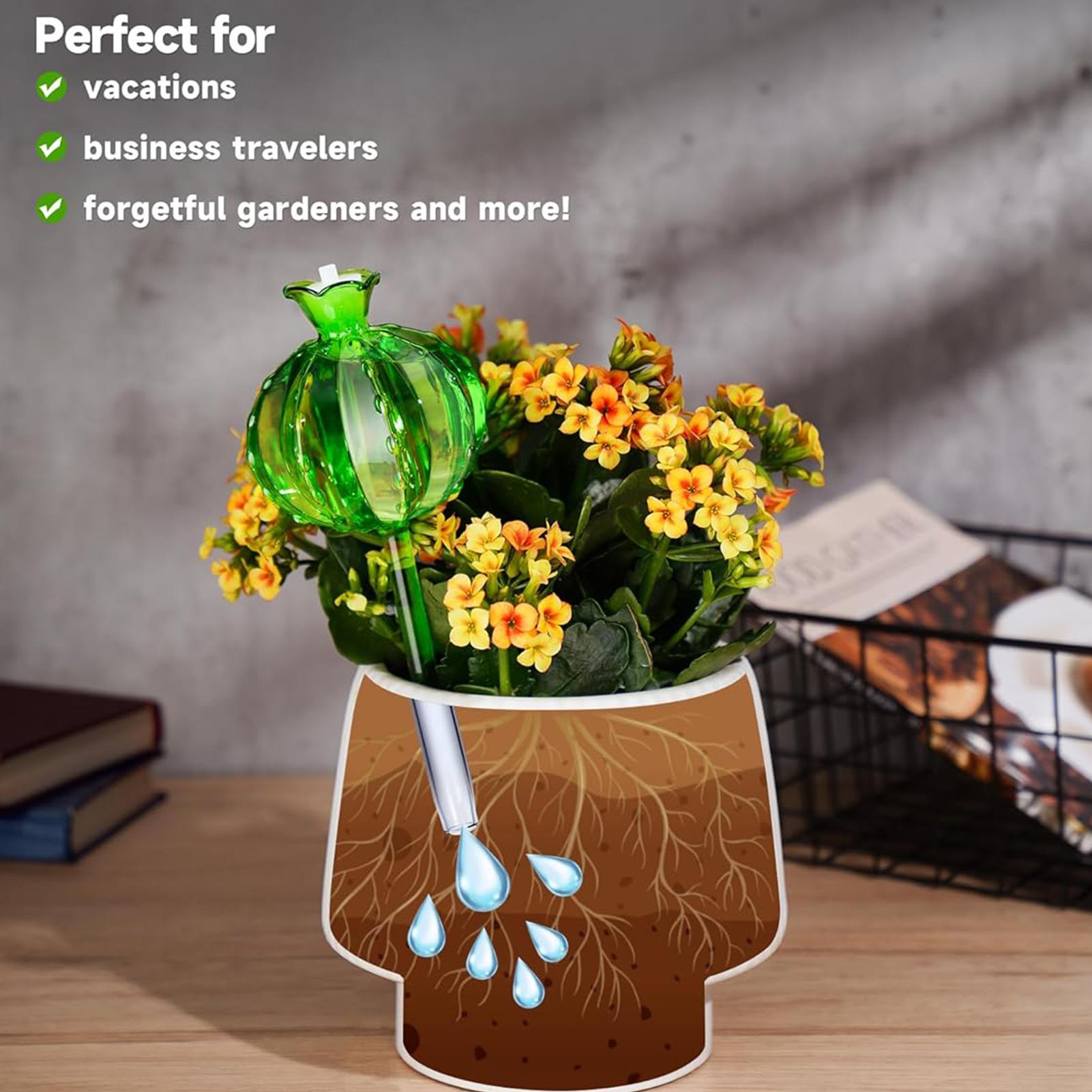Plant Watering Stakes 3 Pieces - Self Watering Insert review and price