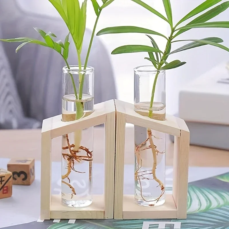 Test Tube Glass Vase Plant Pro - Propagation Station Vase review and price