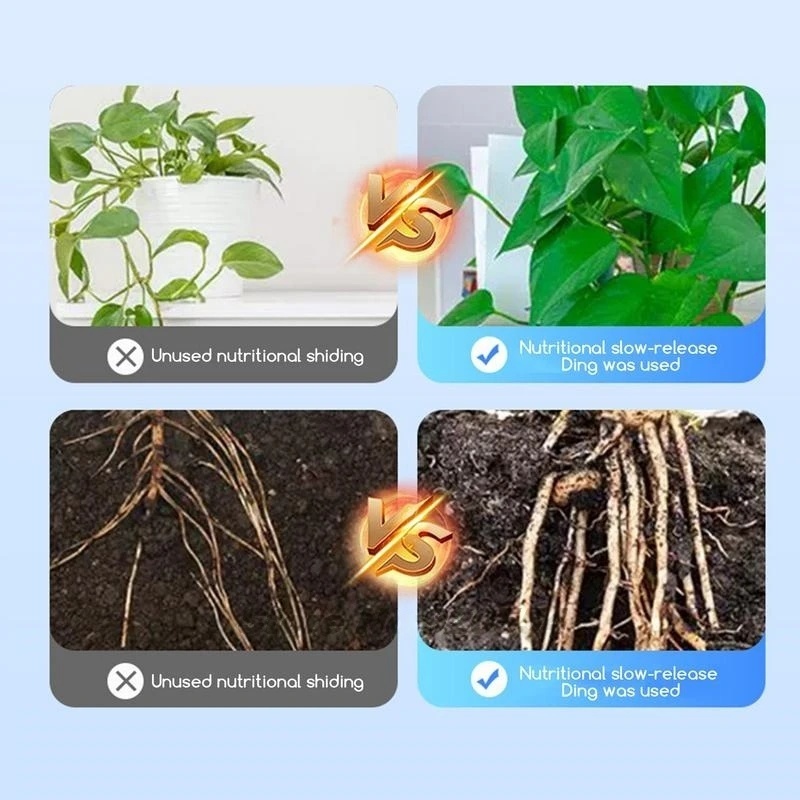 500g High-strength Rooting Hor - Rooting Hormone Powder review and price