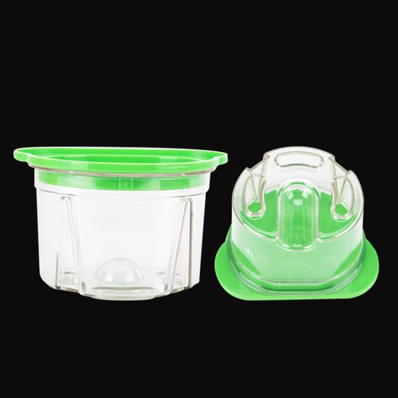 4Pcs Dental Plastic Agar Box D - Agar Tissue Culture review and price