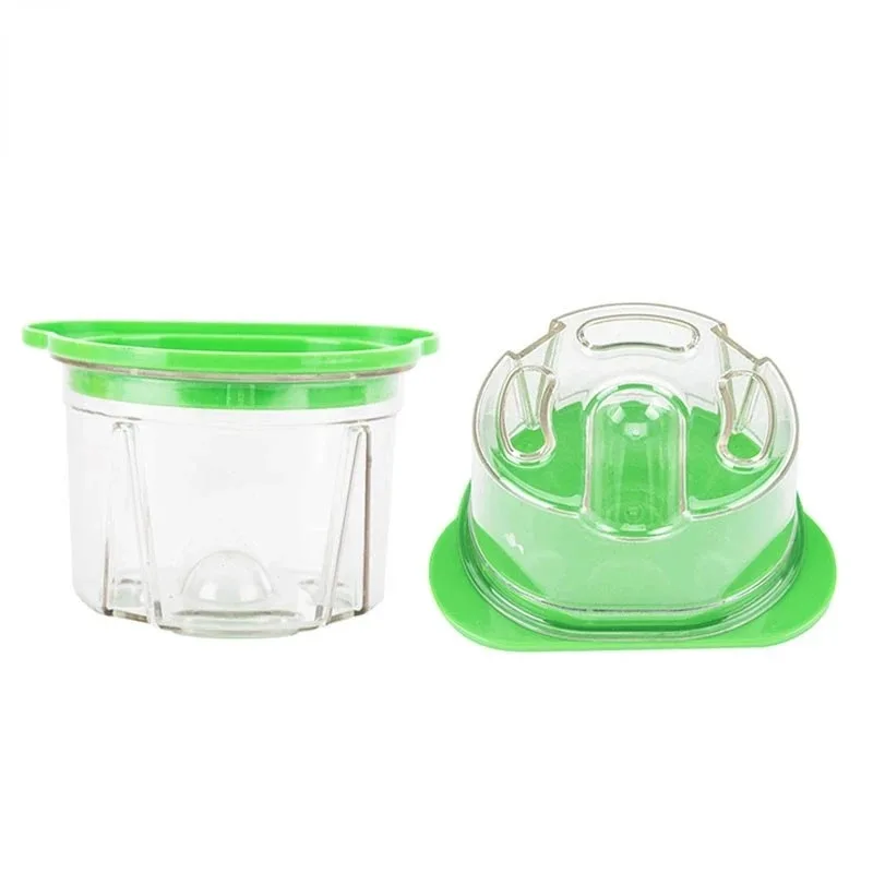 4Pcs Dental Plastic Agar Box D - Agar Tissue Culture review and price