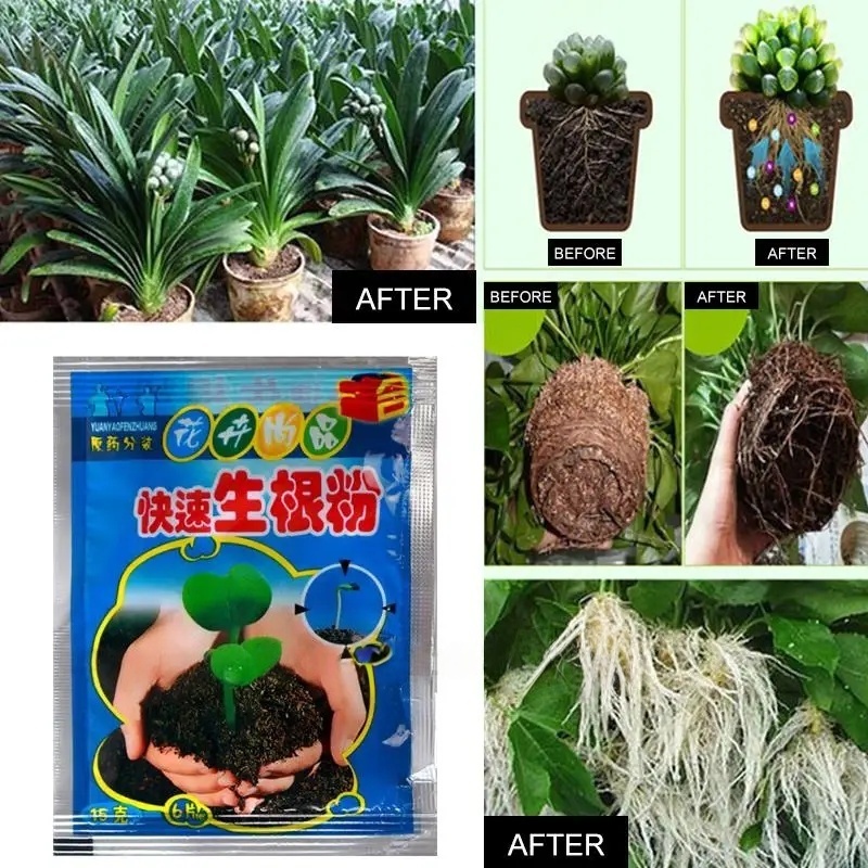 5pcs Fast Rooting Powder Plant - Rooting Hormone Powder review and price