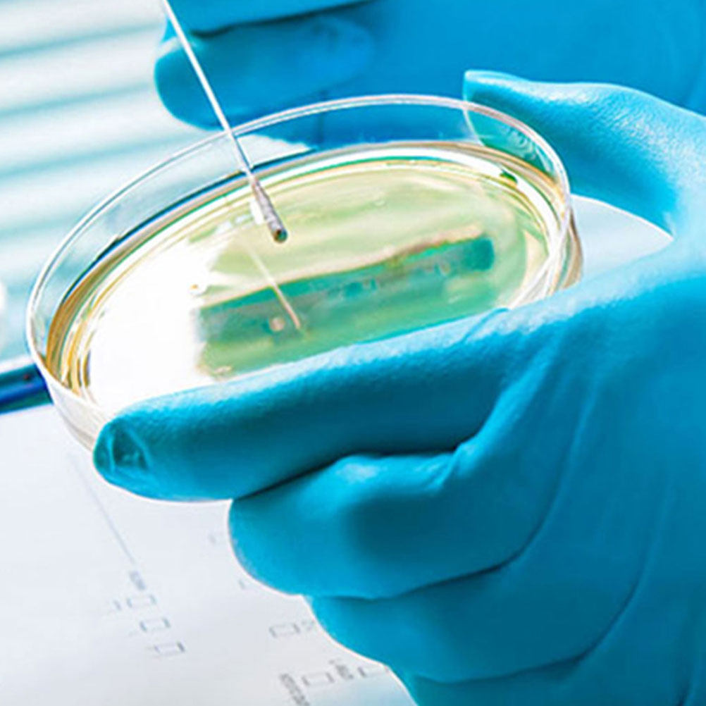 10Pcs Plastic Petri Dishes Tra - Agar Tissue Culture review and price