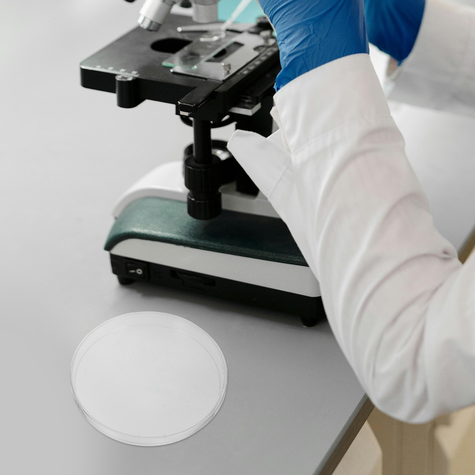 10Pcs Laboratory Petri Dishes  - Agar Tissue Culture review and price
