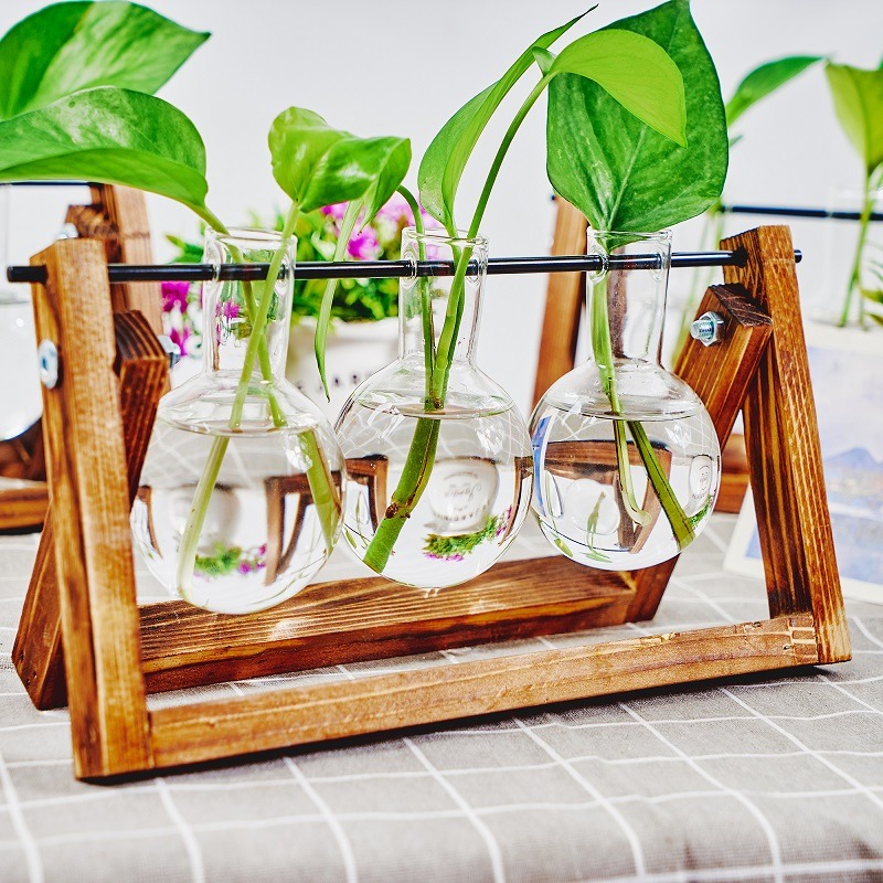 Tabletop Glass Planter Propaga - Propagation Station Vase review and price