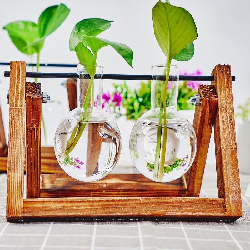 Tabletop Glass Planter Propaga - Propagation Station Vase review and price