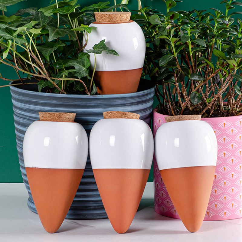 Plant Watering Ball, Terracott - Self Watering Insert review and price